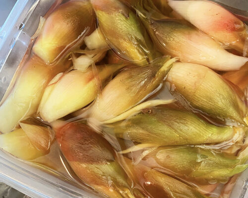 1E0B70A7-CA35-4E26-B85B-B7464F6472C9